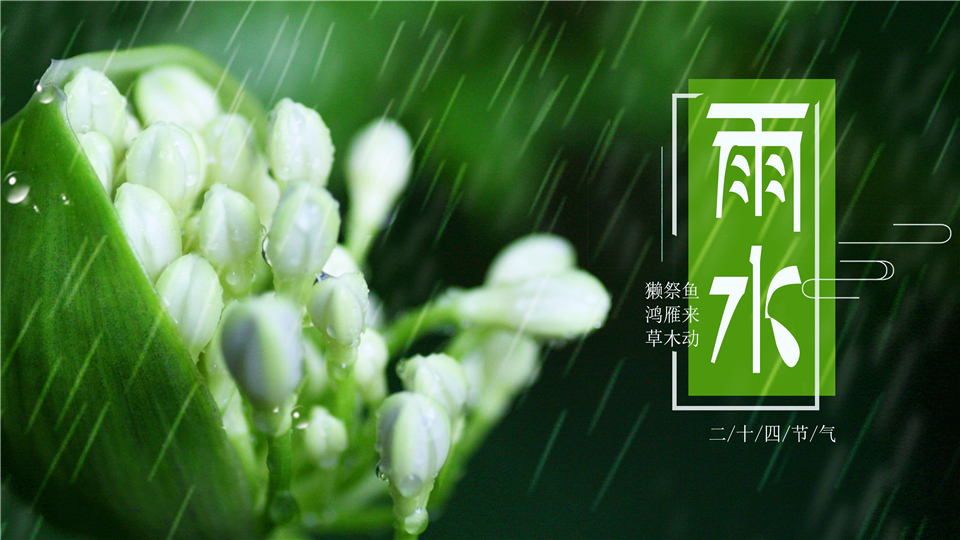 雨水丨雨雨雨，下不完的雨&晾不干的衣服，你一定需要這個神器！