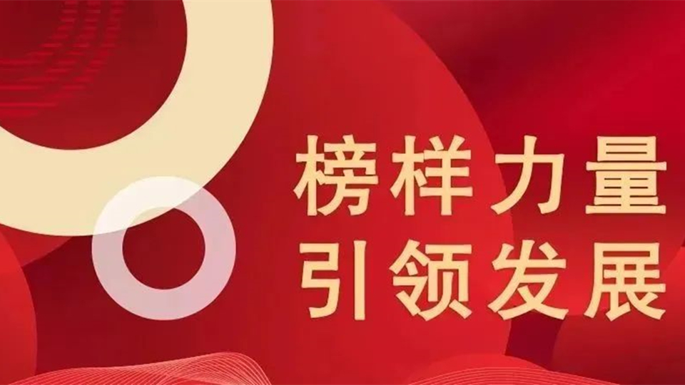 品牌丨以榜樣力量引領(lǐng)發(fā)展，海創(chuàng)頂墻榮獲“2022頂墻行業(yè)先進(jìn)單位”