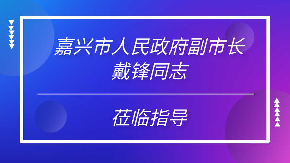 嘉興市人民政府副市長戴鋒同志蒞臨嘉興吊頂展現場參觀指導